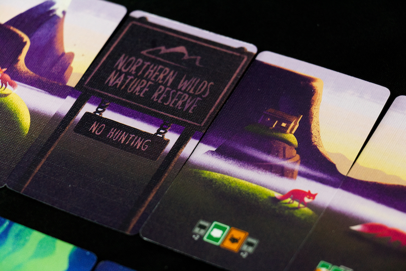 Panorama Dawn Cards